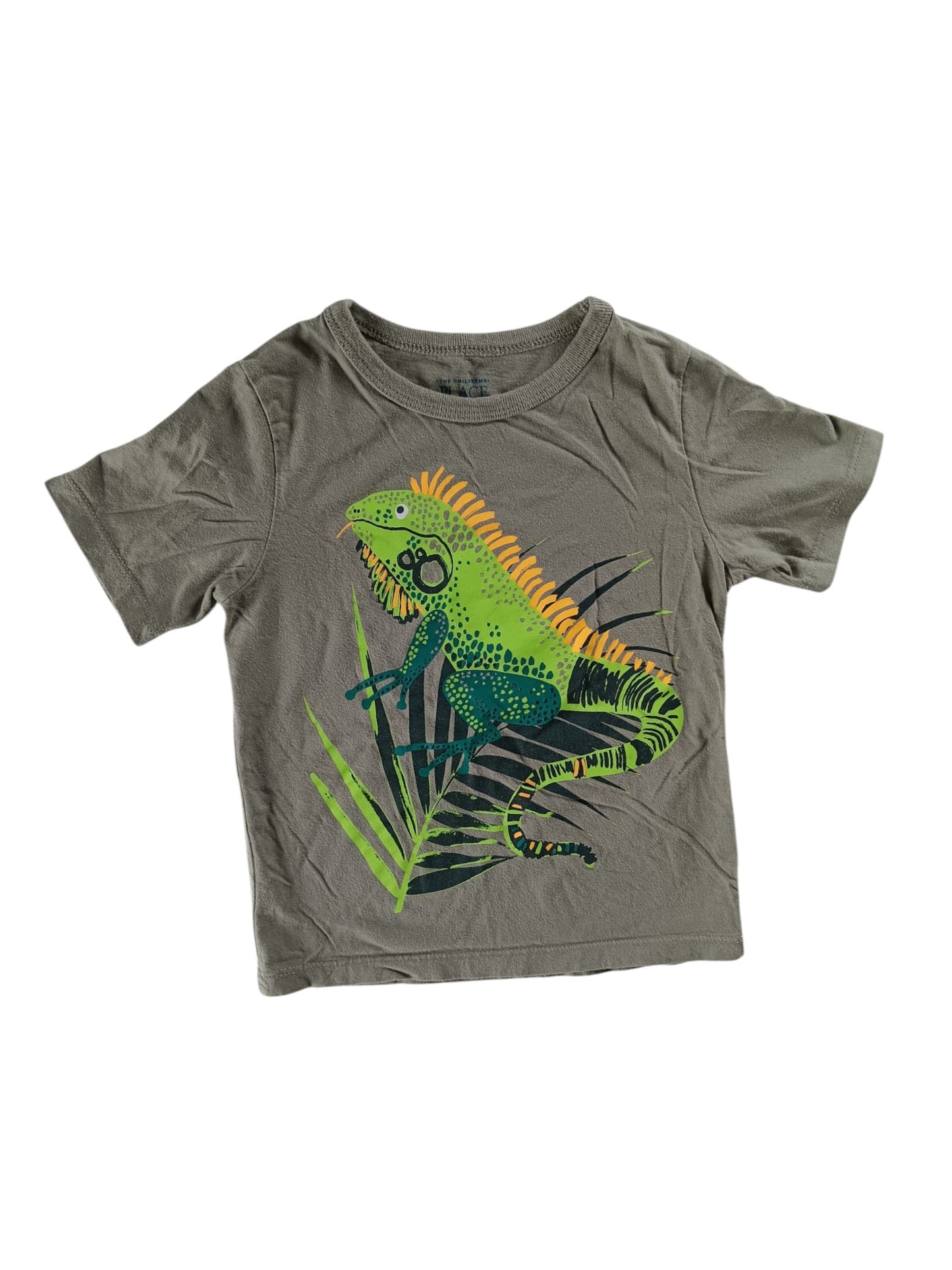 T-Shirt - Place - 3 ans
