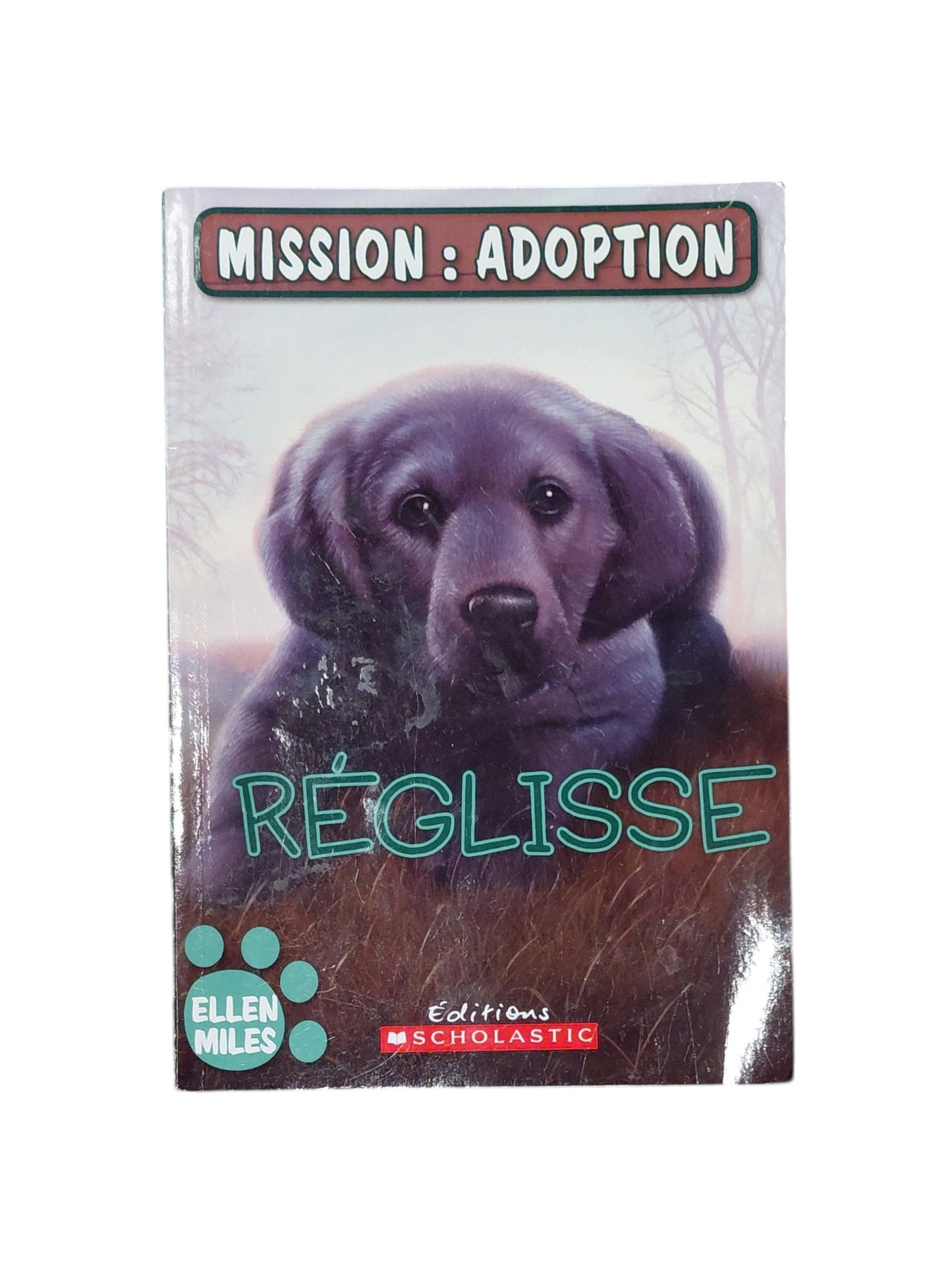 Mission : adoption - Réglisse