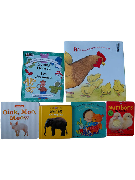 Lot de 6 livre multilingue