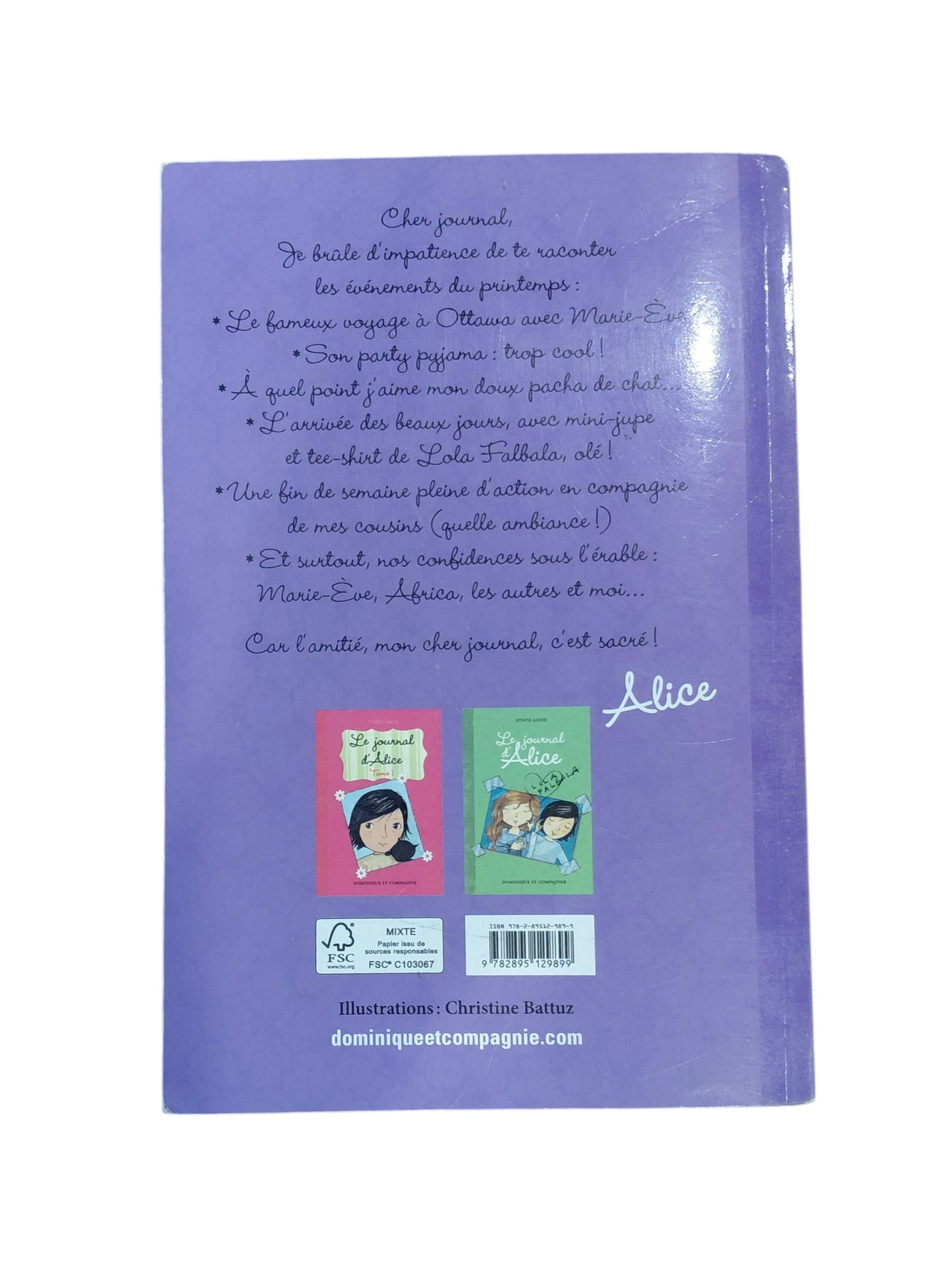 Le journal d'Alice T.3 : Confidences sous l'érable