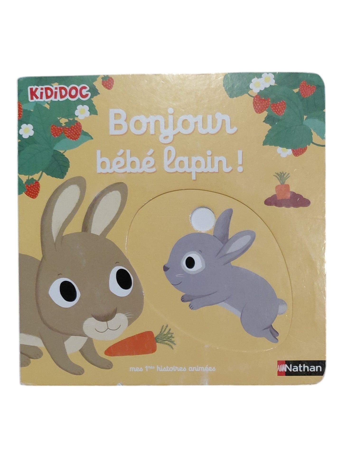 Bonjour bébé lapin !