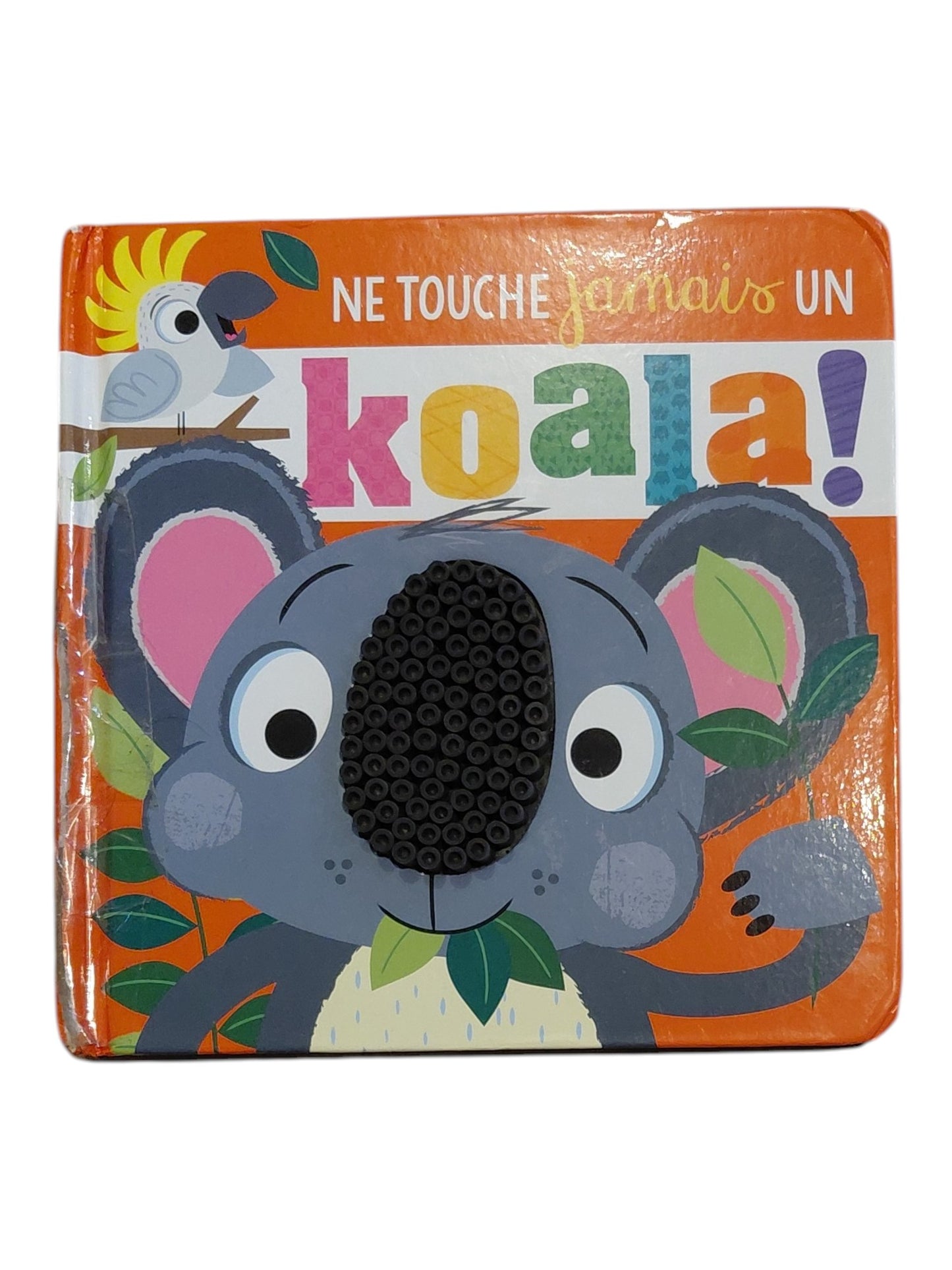 Ne touche jamais un koala!