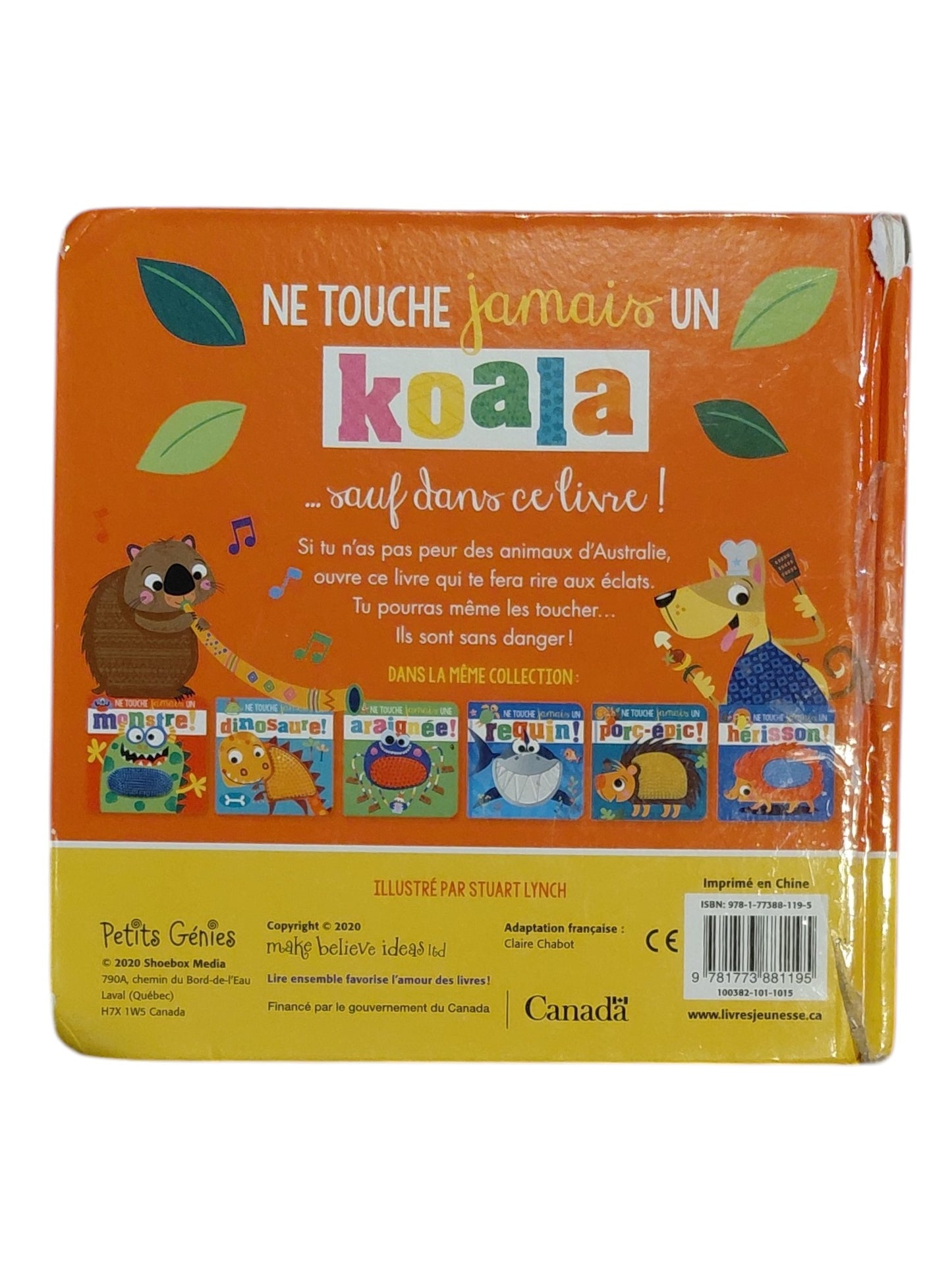 Ne touche jamais un koala!