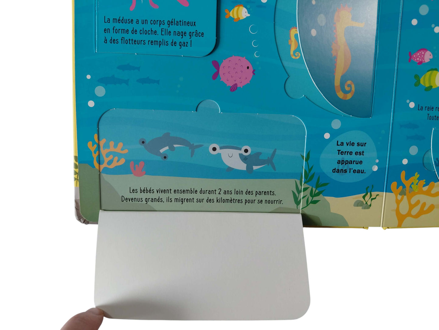 Tes amis les animaux - Livres à volets.